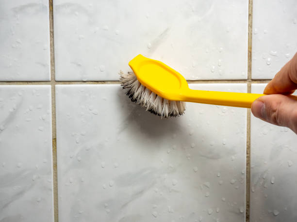 Best Mold Remediation for Specific Building Types in China Spring, TX