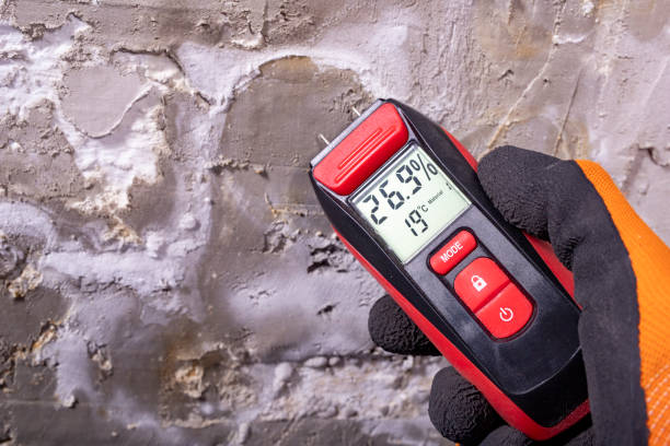 Best Crawl Space Mold Remediation in China Spring, TX
