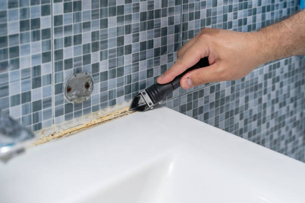Best Black Mold Remediation in China Spring, TX