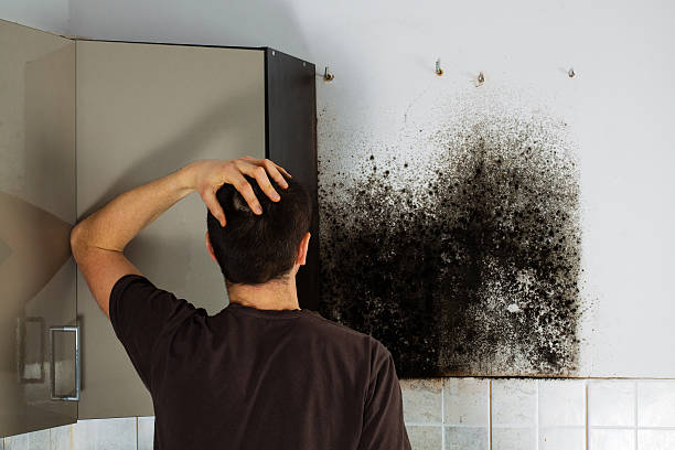 Best Bathroom Mold Remediation in China Spring, TX